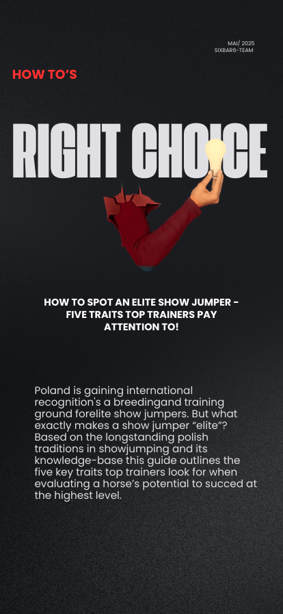 Sixbar6 Elite Show Jumper Mobile Headline