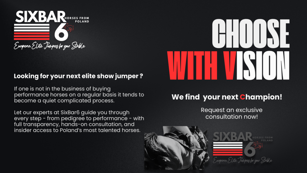 The right choice of an elite show jumper depends on your vision.