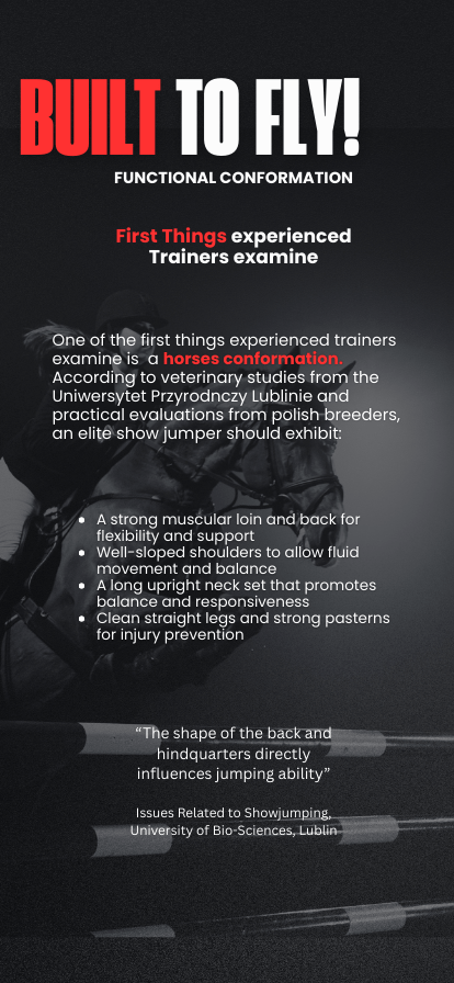 SixBar6 Oversight - General Functional Conformation of elite show jumper
