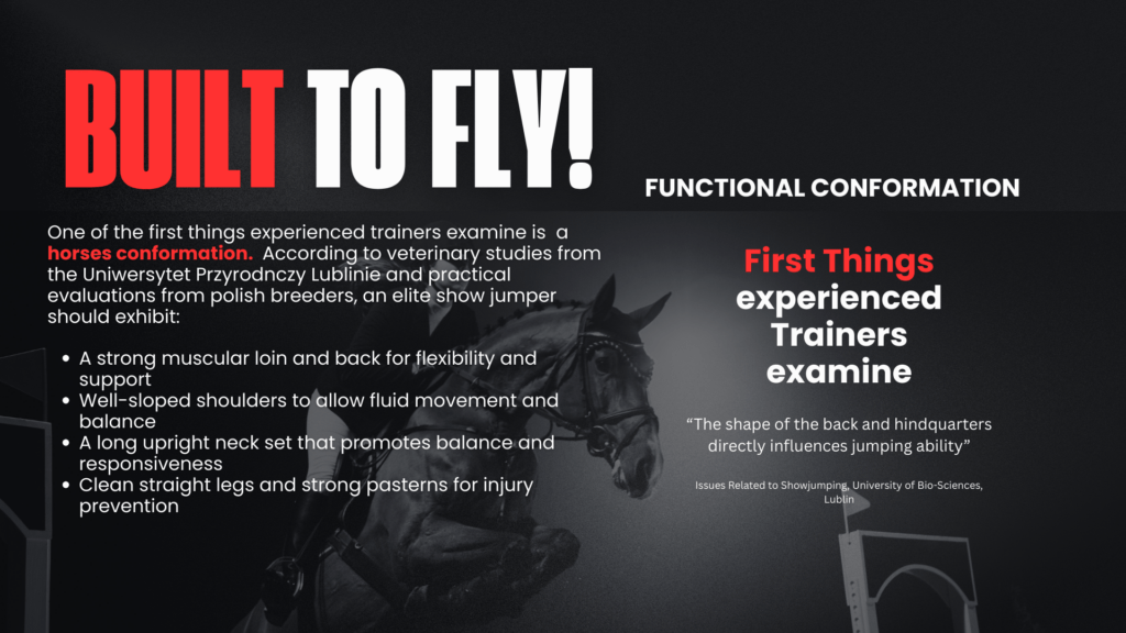 SixBar6 Oversight - General Functional Conformation of elite show jumper