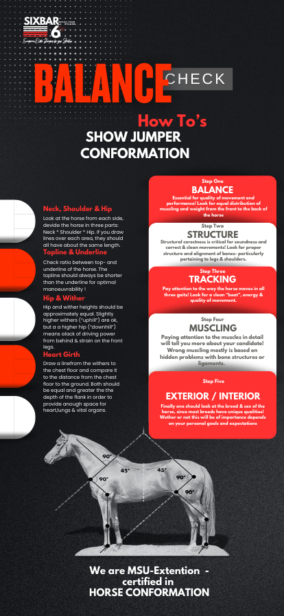 How to Check for Balance of an elite show jumper