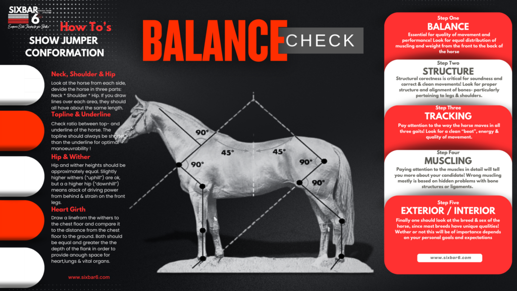 How to Check for Balance of an elite show jumper