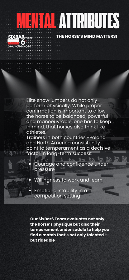 SixBar6 Importance of Mental Attributes for success of an elite show jumper