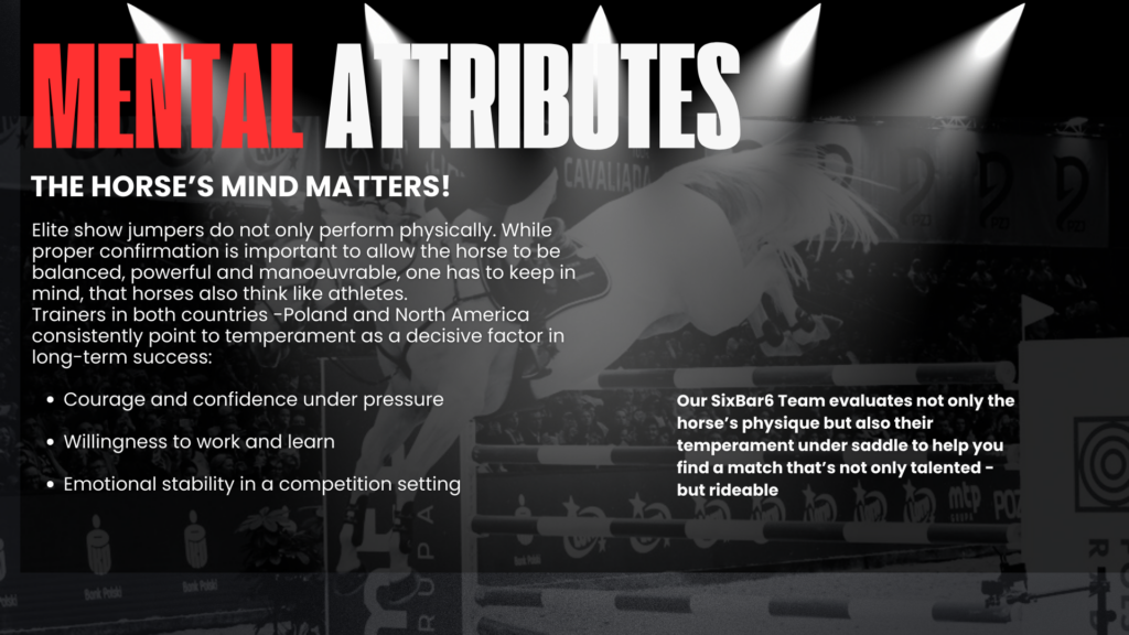 SixBar6 Importance of Mental Attributes for success of an elite show jumper