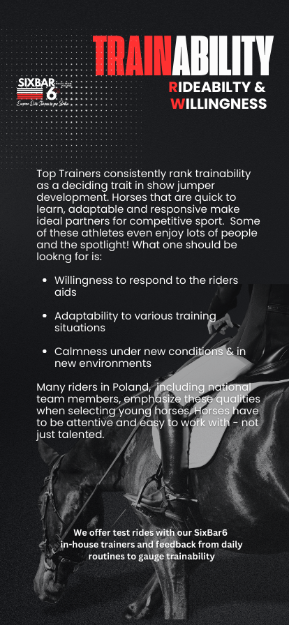 How to check on rideability and trainability of an elite show jumper