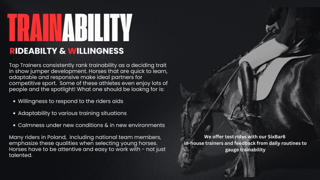 How to check on rideability and trainability of an elite show jumper